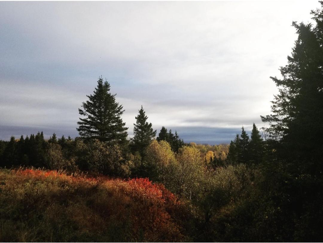 Gite Aux Jardins De L'Anse Perce Exterior foto