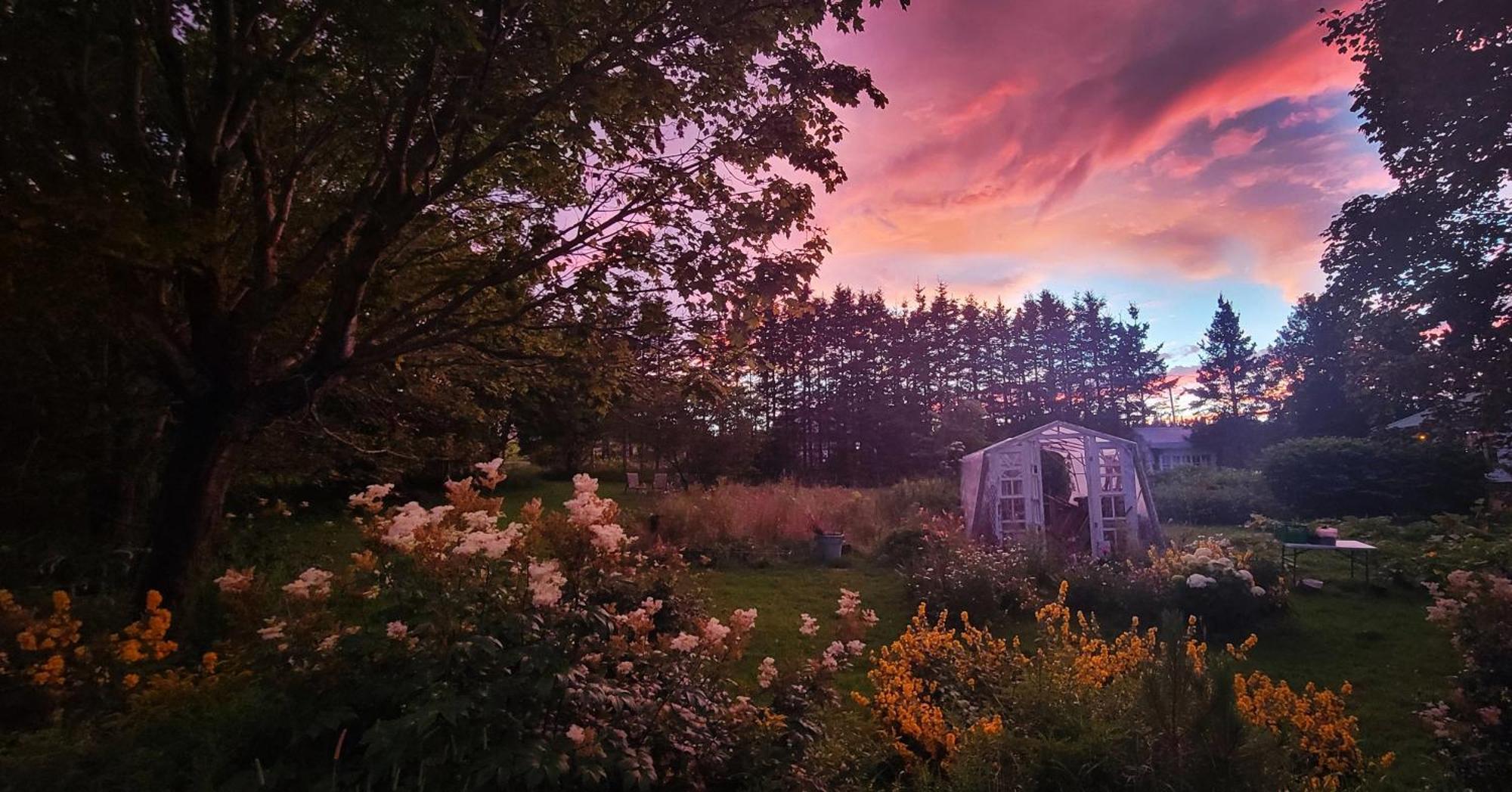 Gite Aux Jardins De L'Anse Perce Exterior foto