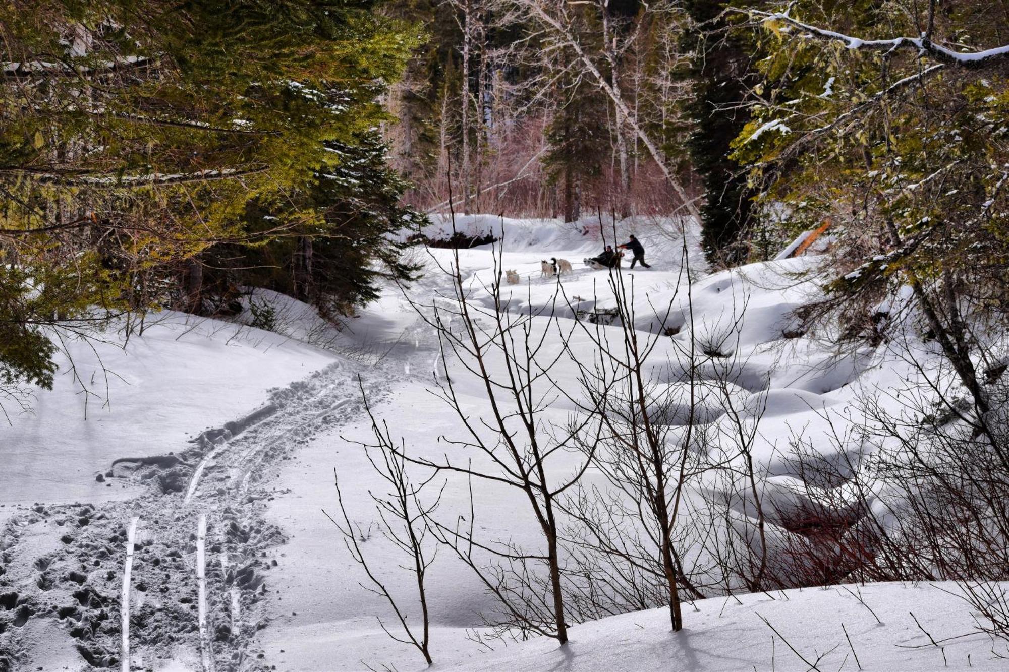 Gite Aux Jardins De L'Anse Perce Exterior foto