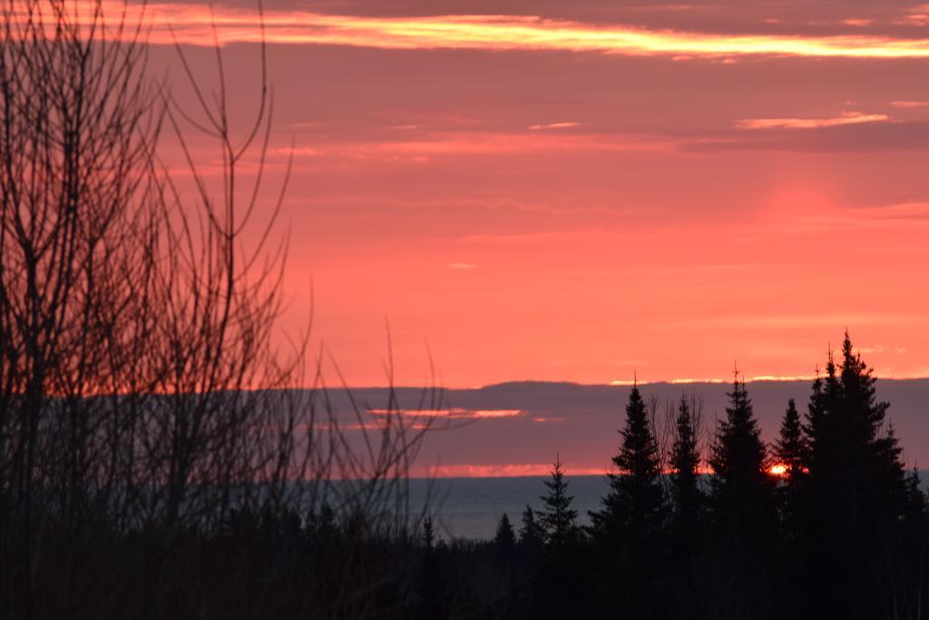 Gite Aux Jardins De L'Anse Perce Exterior foto