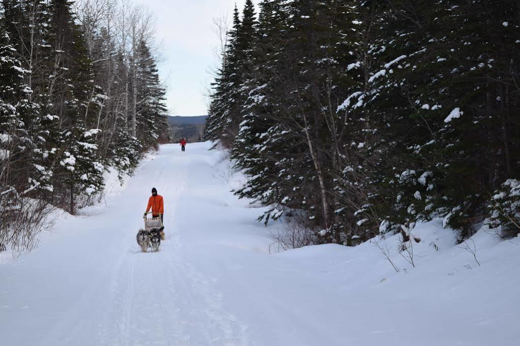Gite Aux Jardins De L'Anse Perce Exterior foto
